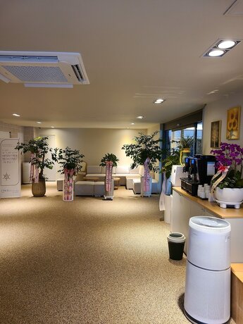 Imagen general del Hotel 7 Bricks Hotel. Foto 4