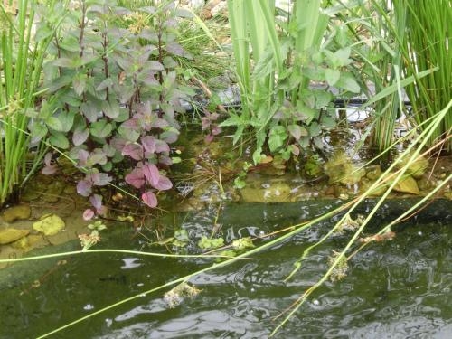 Imagen general del Hotel 7 Continents. Foto 2