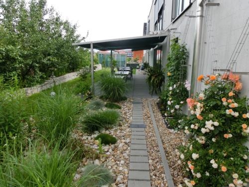 Imagen general del Hotel 7 Continents. Foto 4