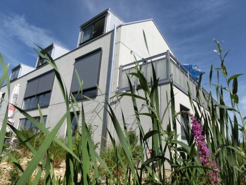 Imagen general del Hotel 7 Continents. Foto 6