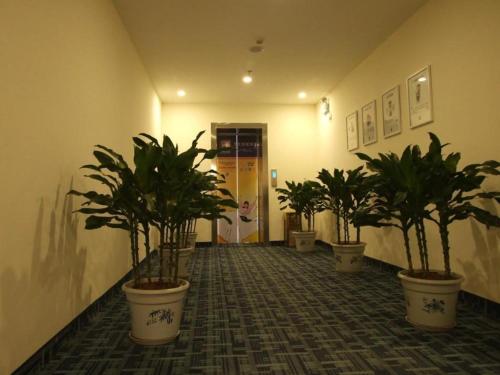 Imagen general del Hotel 7 Days Inn Sanhe Yanjiao Yanjin Road. Foto 6