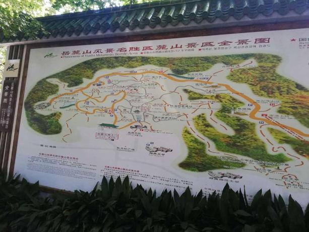 Imagen general del Hotel 7 Days Premium&middot;Changsha Dongtang Branch. Foto 4