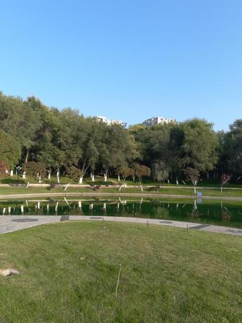 Imagen general del Hotel 7 Days Premium&middot;Shihezi Development Zone. Foto 3