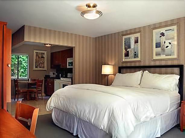 Imagen de la habitación del Hotel 7 Springs Inn And Suites. Foto 7