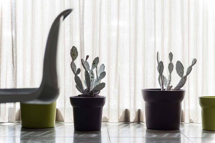 Imagen de los interiores del Hotel 8piuhotel. Foto 13