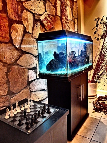 Imagen de los interiores del Hotel 9 Queens Spa. Foto 15