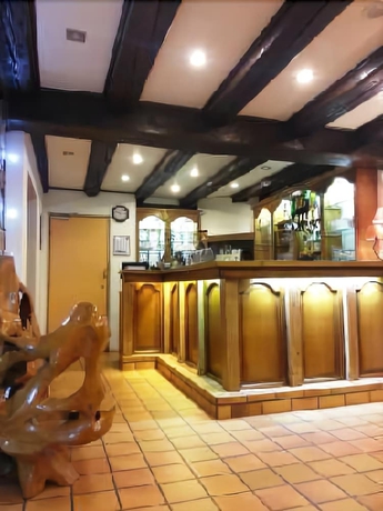Imagen del bar/restaurante del Hotel A L'arbre Vert. Foto 10