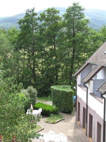 Imagen de los exteriores del Hotel A L'arbre Vert. Foto 17