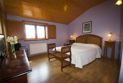 Imagen de la habitación del Hotel A Palleira. Foto 3