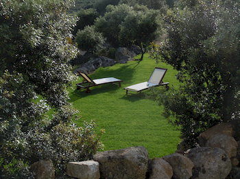 Imagen general del Hotel A Piattatella. Foto 8
