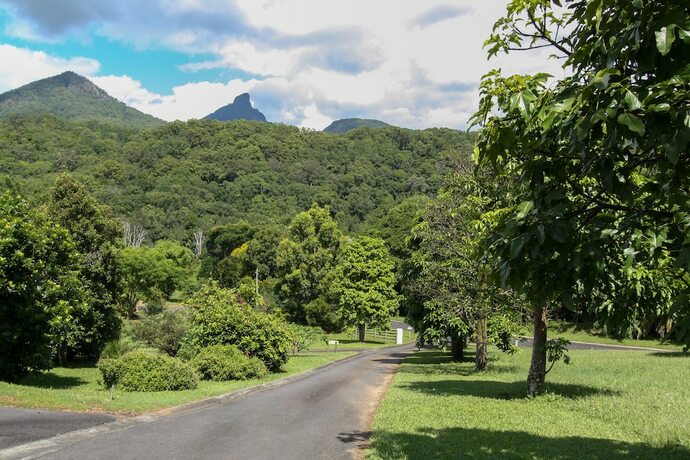 Imagen general del Hotel A View Of Mt Warning Bandb. Foto 8