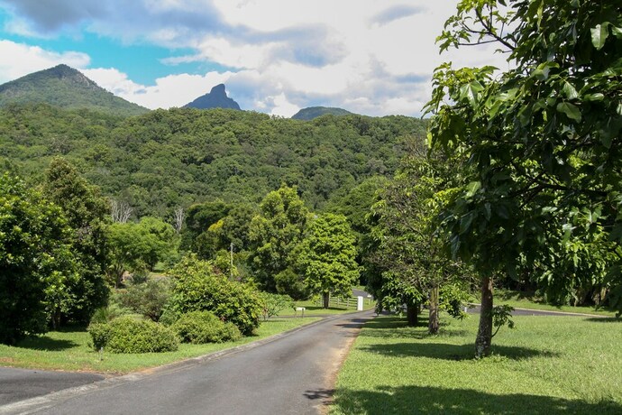 Imagen de la habitación del Hotel A View Of Mt Warning Bandb. Foto 35
