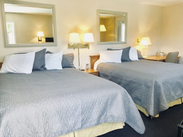 Imagen de la habitación del Hotel A Western Rose. Foto 13