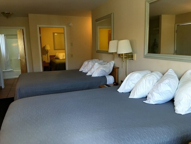 Imagen de la habitación del Hotel A Western Rose. Foto 19