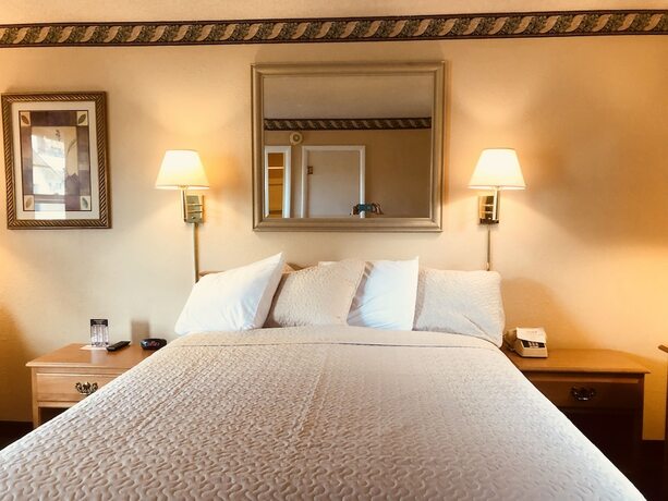 Imagen general del Hotel A Western Rose. Foto 11