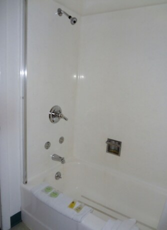 Imagen general del Hotel A Western Rose. Foto 12