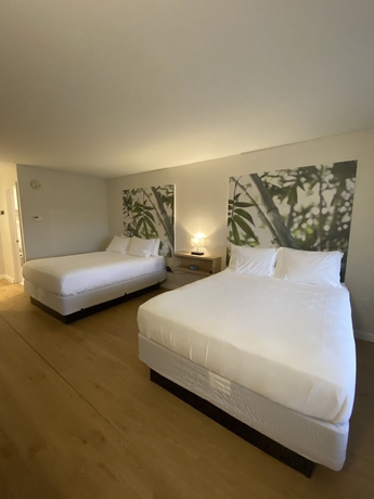 Imagen de la habitación del Hotel A and S Vacation Rooms. Foto 10