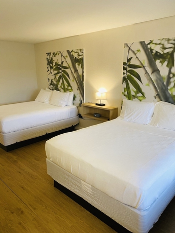 Imagen de la habitación del Hotel A and S Vacation Rooms. Foto 13