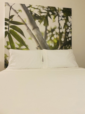 Imagen de la habitación del Hotel A and S Vacation Rooms. Foto 15