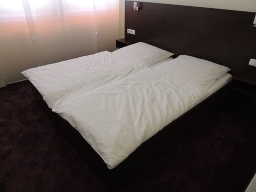 Imagen general del Hotel AAA Budget Hotel. Foto 3