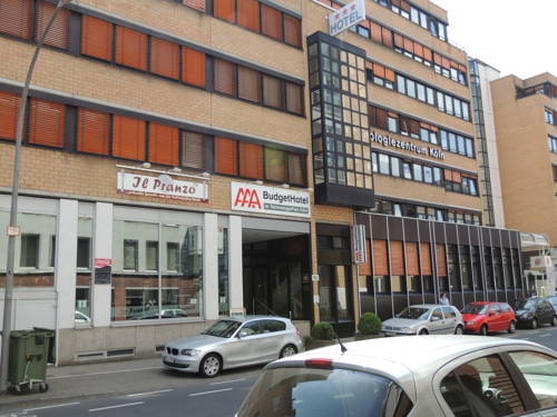 Imagen general del Hotel AAA Budget Hotel. Foto 5