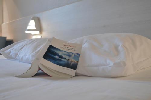 Imagen general del Hotel ACE Hôtel Thionville - Porte du Luxembourg. Foto 13