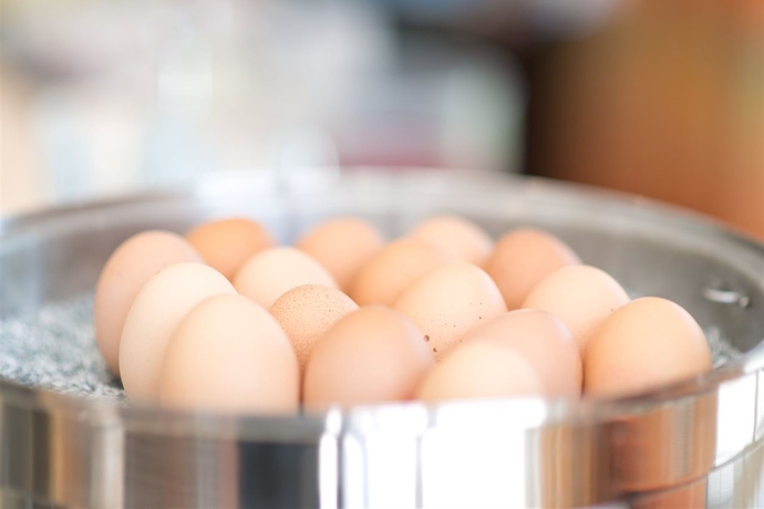 Imagen general del Hotel ACHAT Zwickau. Foto 4