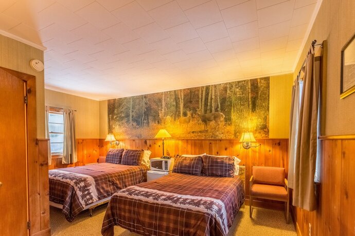 Imagen de la habitación del Hotel ADK Trail Inn. Foto 18