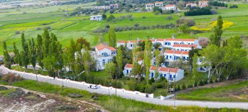 Imagen general del Hotel AEGEON, Skala Kallonis. Foto 5