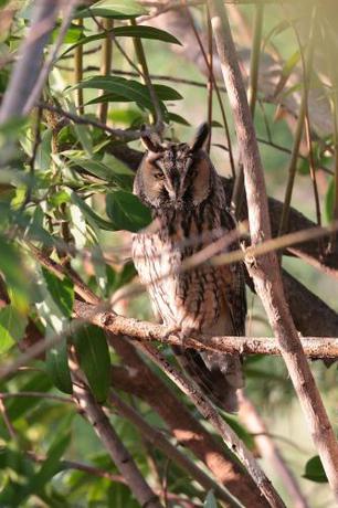 Imagen general del Hotel AEGEON, Skala Kallonis. Foto 6