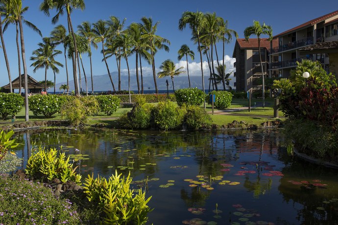 Imagen de los exteriores del Hotel AEI at Papakea Resort Maui. Foto 13