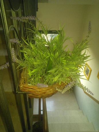 Imagen de los interiores del Hotel AHG Riva Del Sole Wellness Adults Only. Foto 8