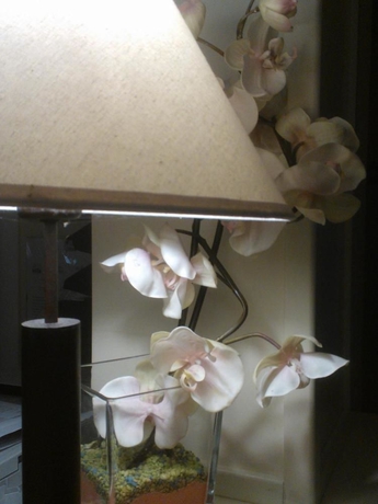Imagen de los interiores del Hotel AHG Riva Del Sole Wellness Adults Only. Foto 11