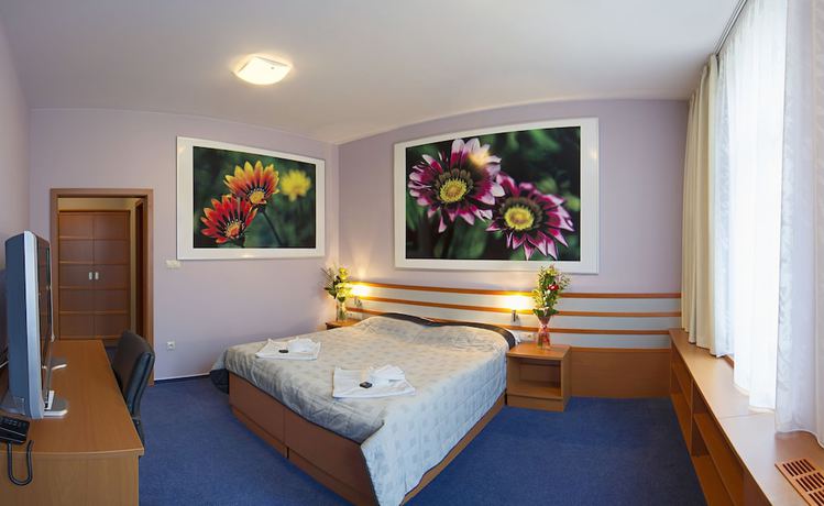 Imagen de la habitación del Hotel AIR, Hol&iacute;č. Foto 8