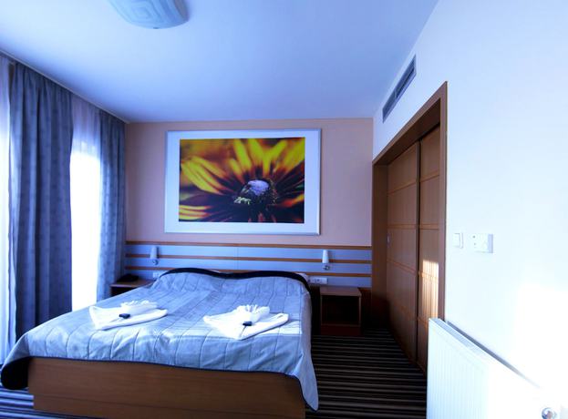 Imagen de la habitación del Hotel AIR, Hol&iacute;č. Foto 9