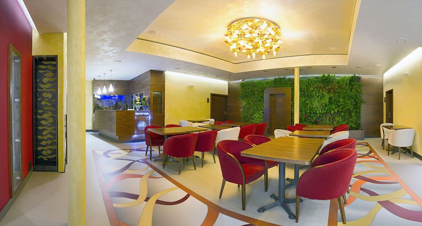 Imagen de los interiores del Hotel AIR, Hol&iacute;č. Foto 16