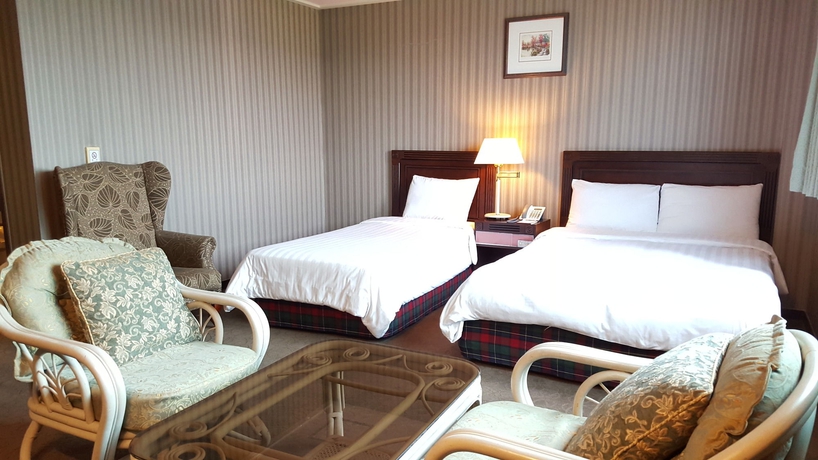 Imagen de la habitación del Hotel AIRPORT, Aeropuerto De Gimpo. Foto 4