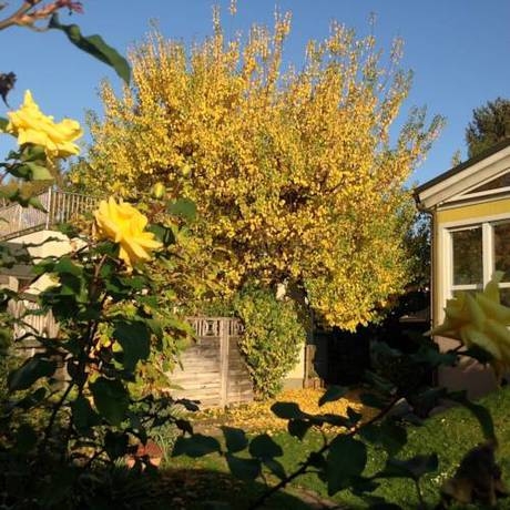 Imagen general del Hotel AJO Garden. Foto 3