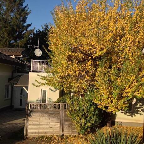 Imagen general del Hotel AJO Garden. Foto 4