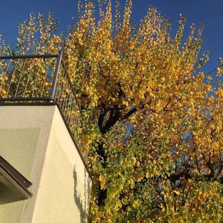 Imagen general del Hotel AJO Garden. Foto 6