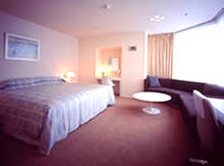 Imagen de la habitación del Hotel AKASAKA PRINCE. Foto 3