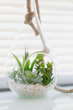 Imagen de la habitación del Hotel AKEBONO 3-D. Foto 13