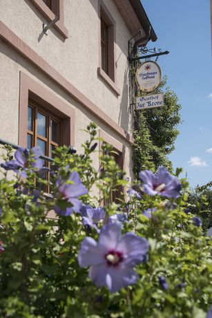 Imagen de los interiores del Hotel AKZENT Gasthof Krone. Foto 20