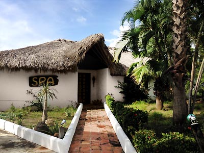 Imagen general del Hotel ALDEA DEL BAZAR SPA. Foto 8