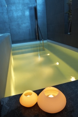 Imagen de los interiores del Hotel ALEGRIA Plaza Paris. Foto 13