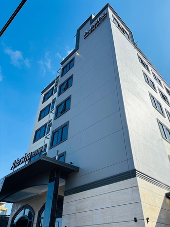 Imagen general del Hotel ALESHA HOTEL. Foto 2