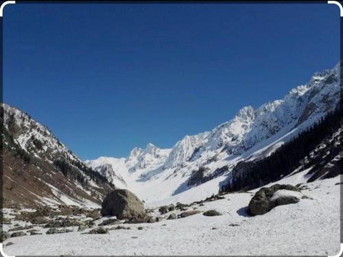 Imagen general del Hotel ALIO Sonamarg. Foto 14