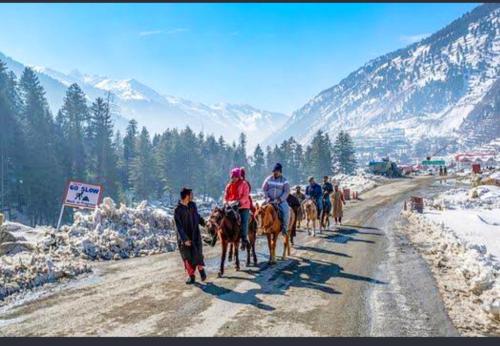 Imagen general del Hotel ALIO Sonamarg. Foto 15