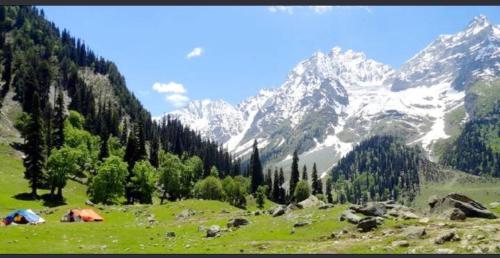 Imagen general del Hotel ALIO Sonamarg. Foto 16