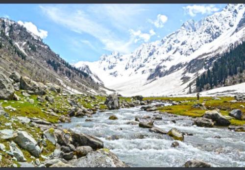 Imagen general del Hotel ALIO Sonamarg. Foto 18